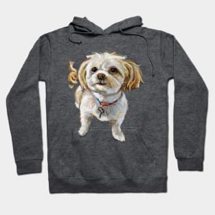 Murphy the Chi Poo Hoodie